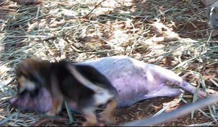 ����� � �����