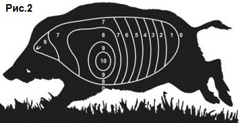 ����� �������� �����. ������