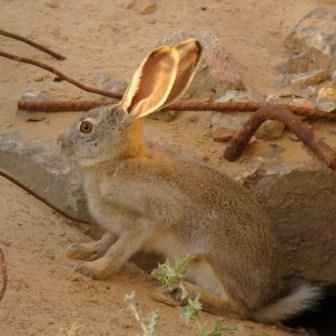 ����-�����