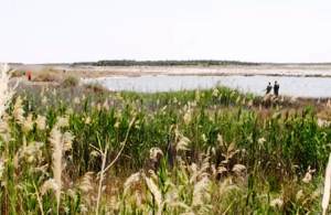 �� �����