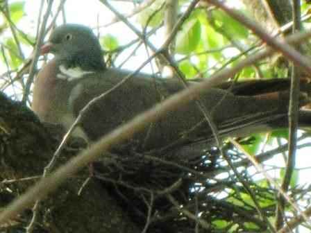 ������ �� ������