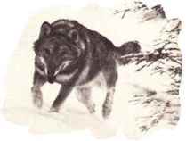 ����� �� �����