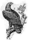 ������ �����