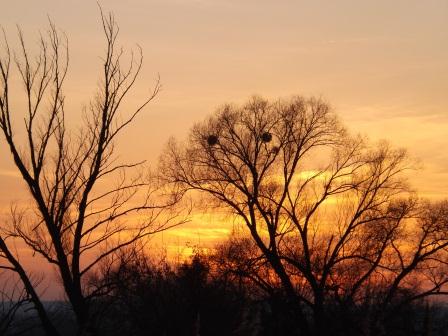 ����� ������